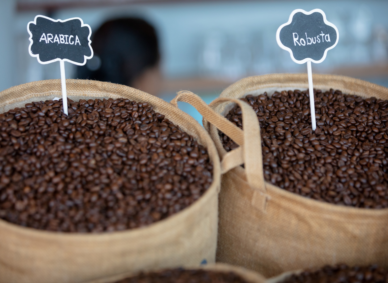 To sække fyldt med arabica og robusta bønner