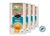 Pickwick Tea Master Selection Mint