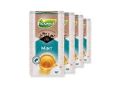 Pickwick Tea Master Selection Mint